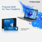 Disque dur SSD SATA 2.5" 500 Go WD Blue SA510 - WDS500G3B0A – Image 2